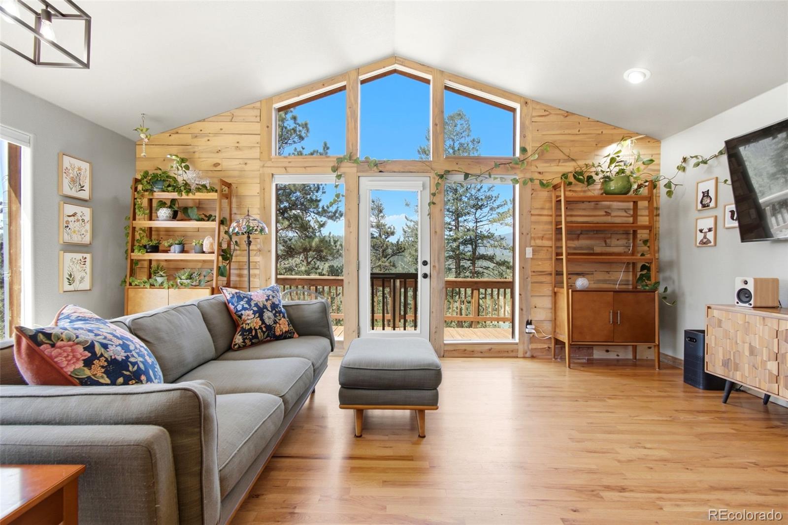 MLS Image #1 for 278  hayes street,bailey, Colorado