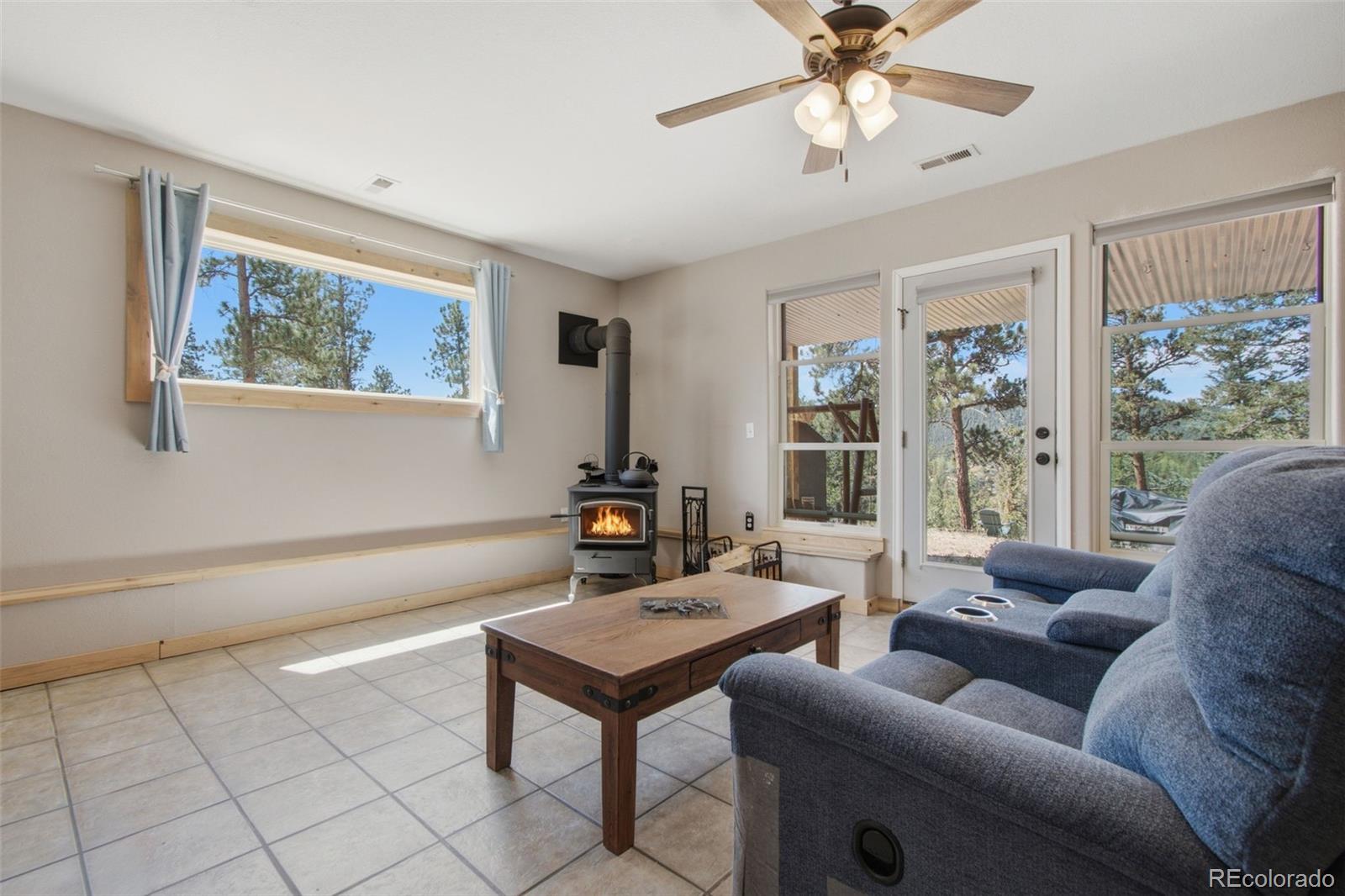 MLS Image #13 for 278  hayes street,bailey, Colorado