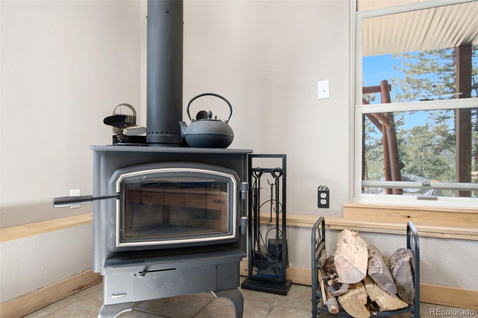 MLS Image #14 for 278  hayes street,bailey, Colorado