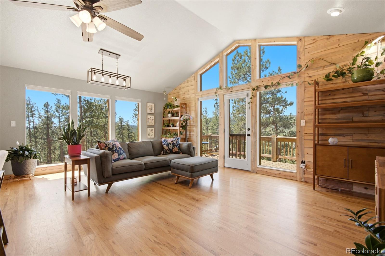 MLS Image #2 for 278  hayes street,bailey, Colorado