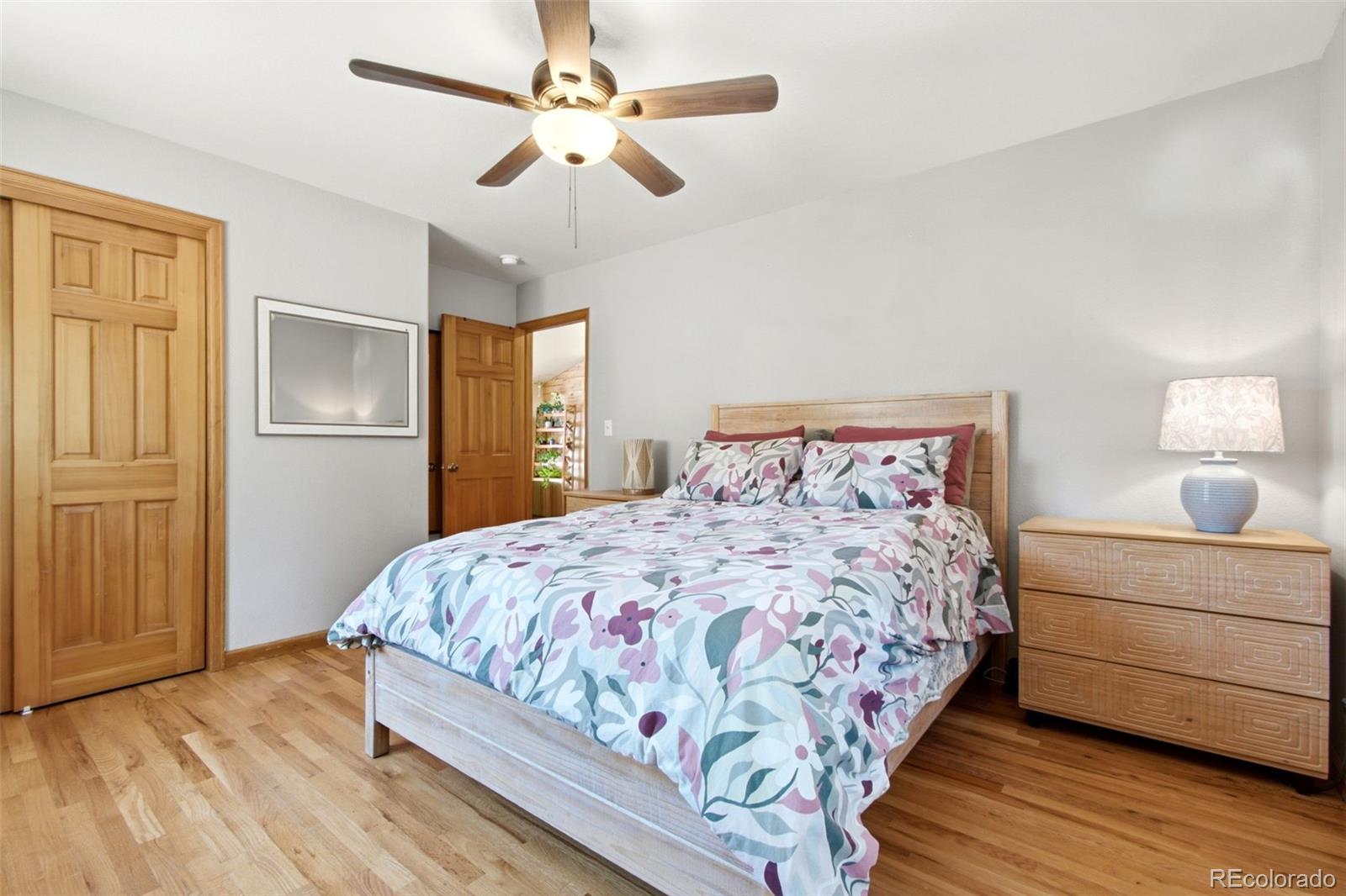 MLS Image #20 for 278  hayes street,bailey, Colorado