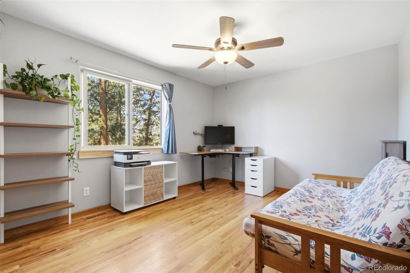 MLS Image #21 for 278  hayes street,bailey, Colorado