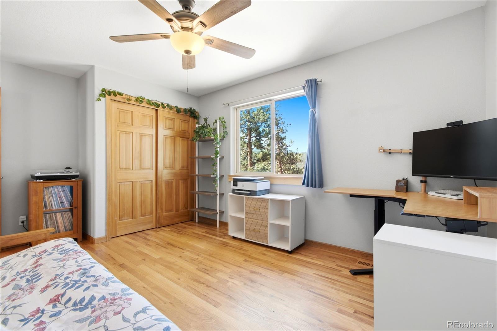 MLS Image #22 for 278  hayes street,bailey, Colorado