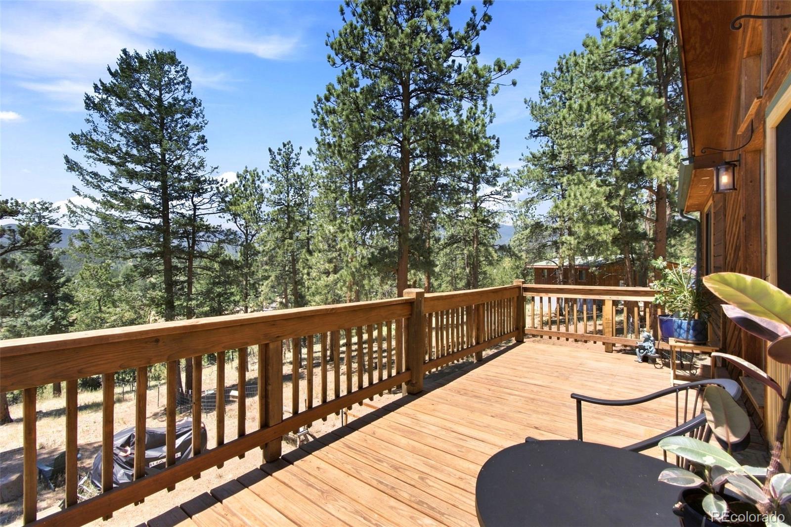 MLS Image #28 for 278  hayes street,bailey, Colorado