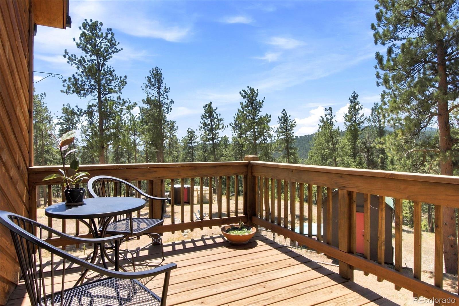 MLS Image #29 for 278  hayes street,bailey, Colorado