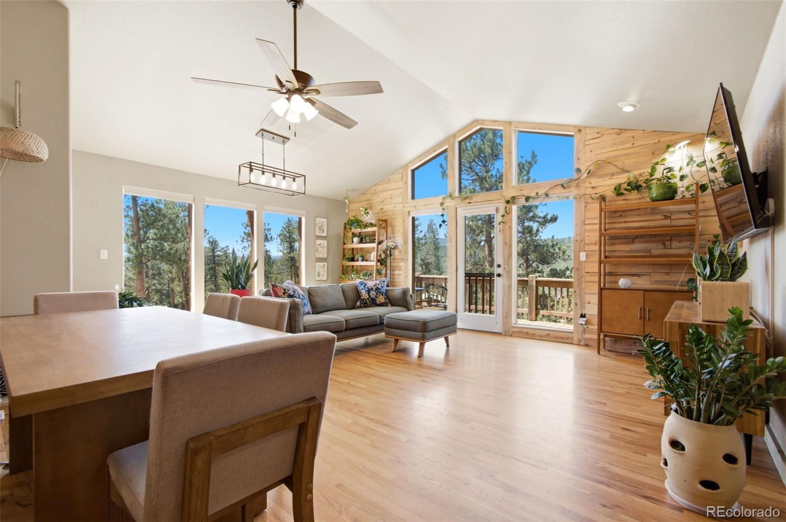 MLS Image #3 for 278  hayes street,bailey, Colorado