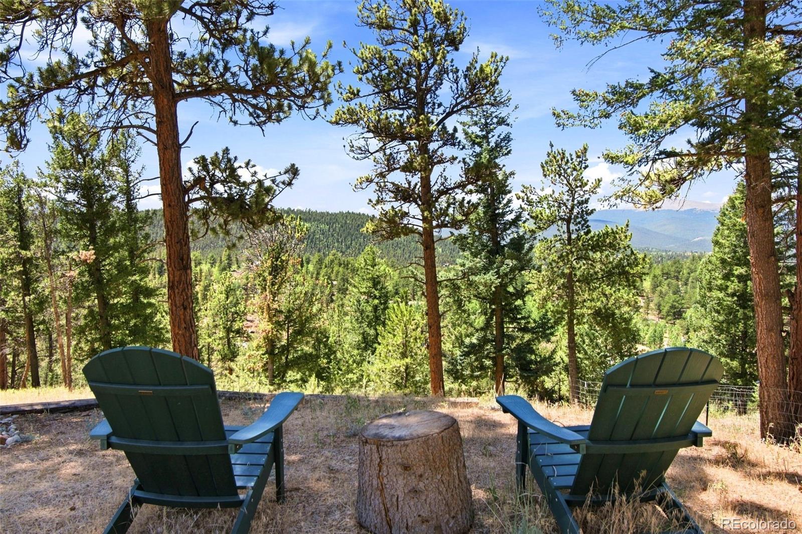 MLS Image #35 for 278  hayes street,bailey, Colorado