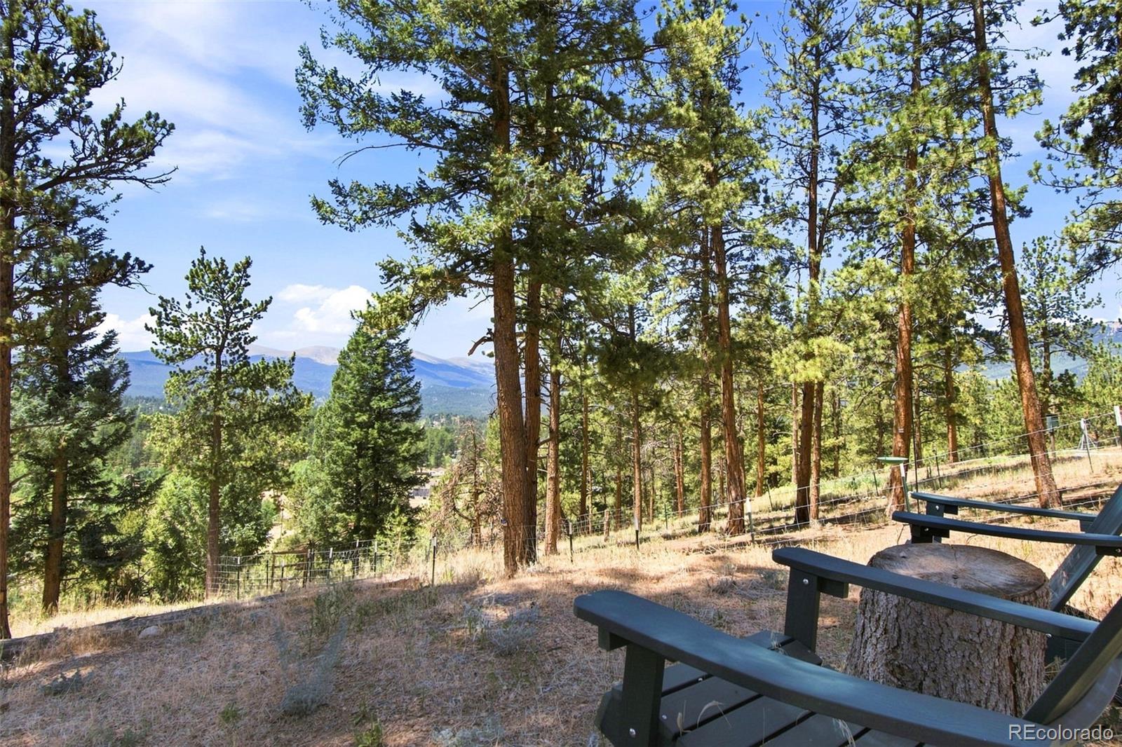 MLS Image #36 for 278  hayes street,bailey, Colorado