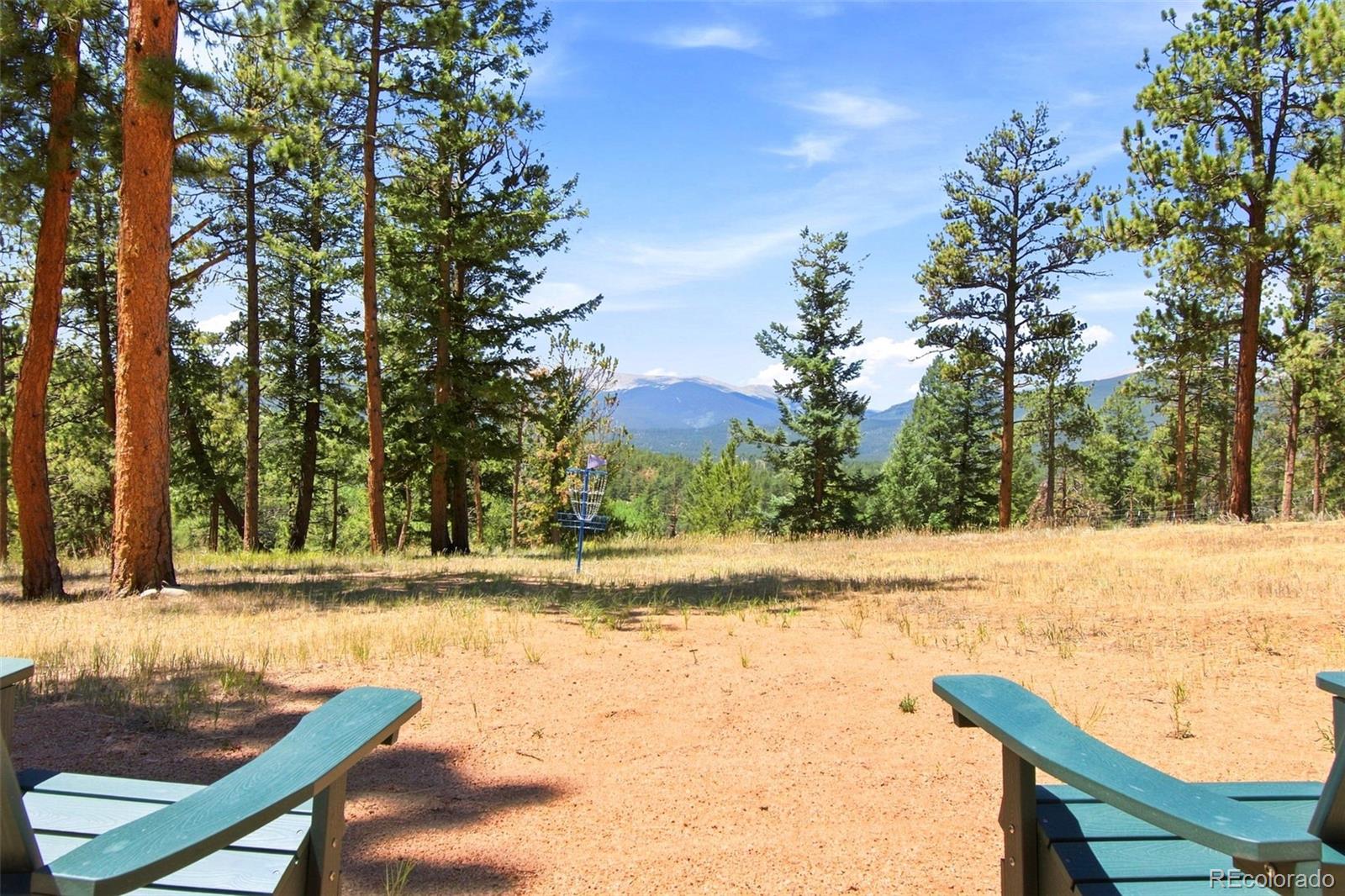 MLS Image #39 for 278  hayes street,bailey, Colorado