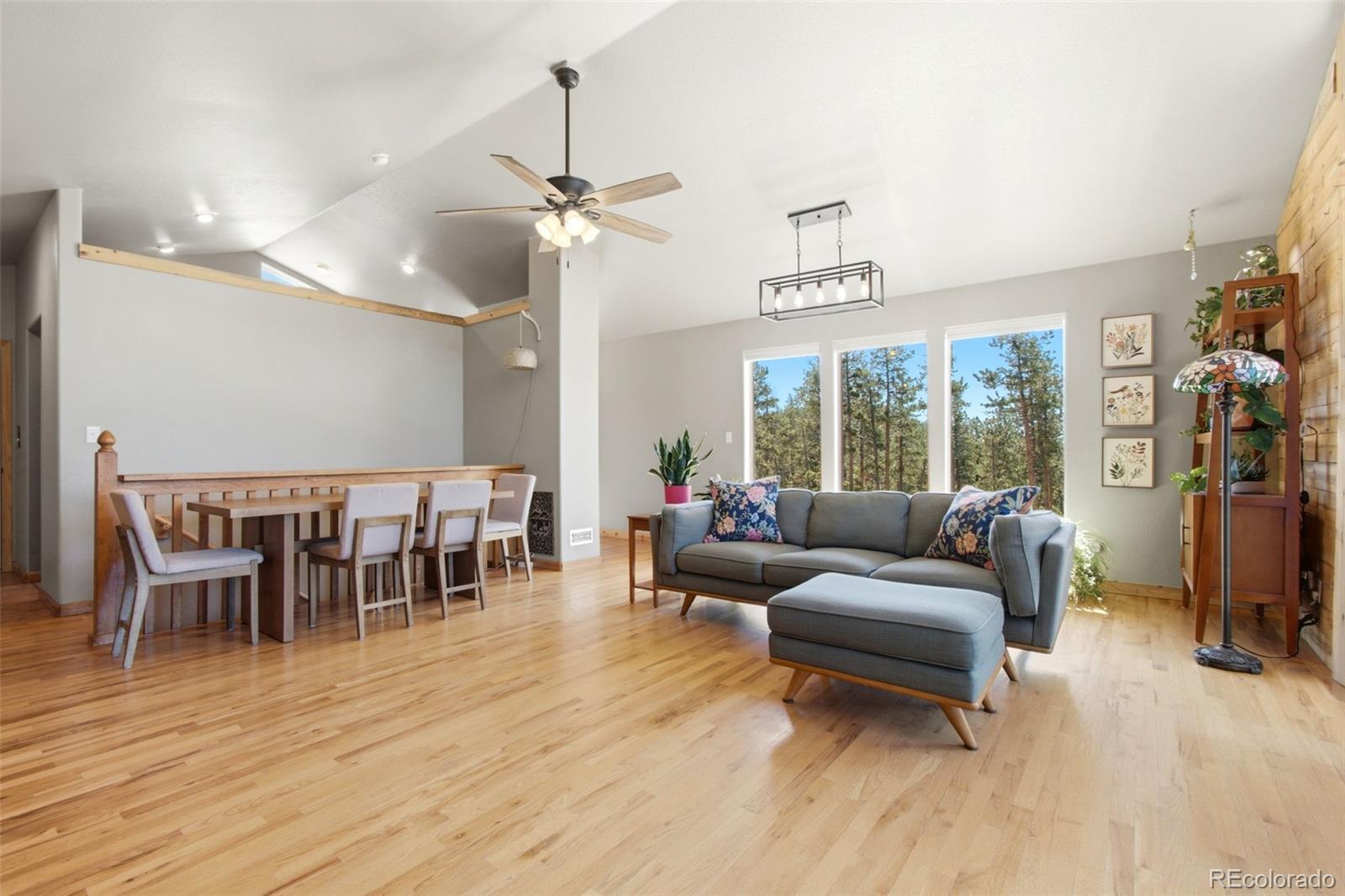 MLS Image #4 for 278  hayes street,bailey, Colorado
