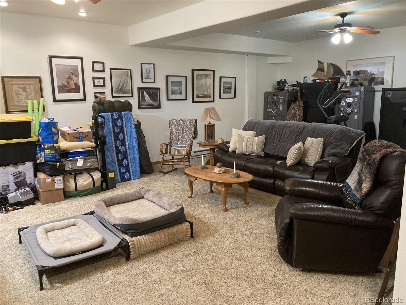 MLS Image #13 for 1420  coyote run,cotopaxi, Colorado