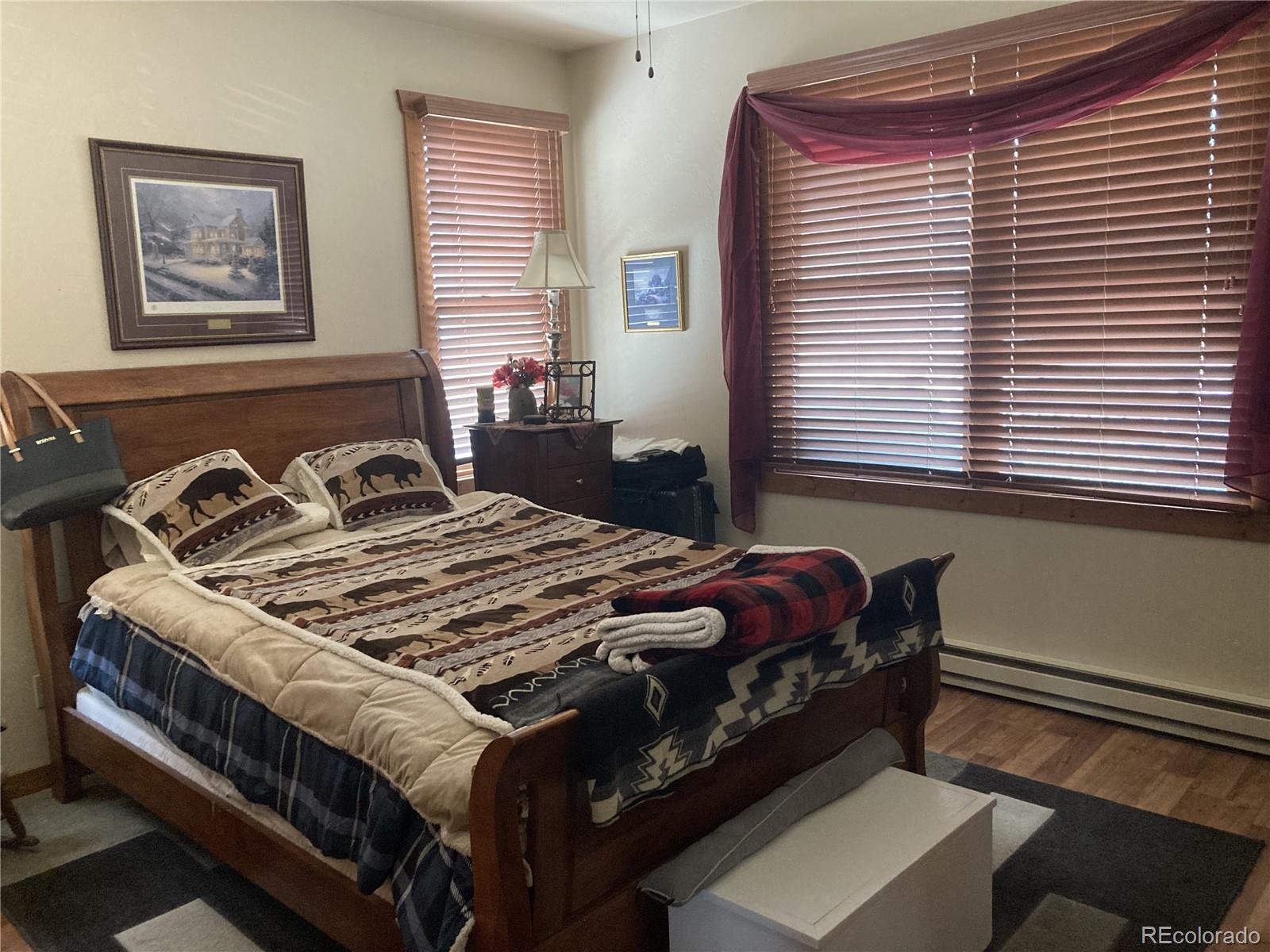 MLS Image #14 for 1420  coyote run,cotopaxi, Colorado