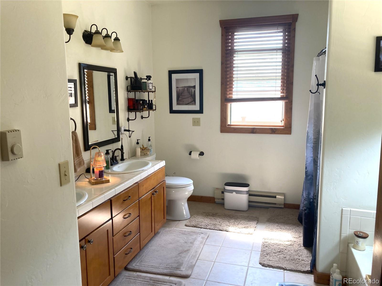 MLS Image #16 for 1420  coyote run,cotopaxi, Colorado