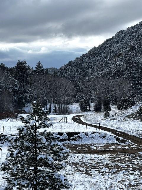 MLS Image #18 for 1420  coyote run,cotopaxi, Colorado
