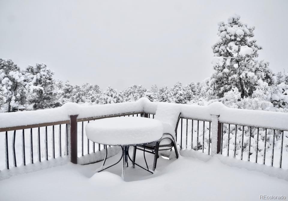 MLS Image #19 for 1420  coyote run,cotopaxi, Colorado
