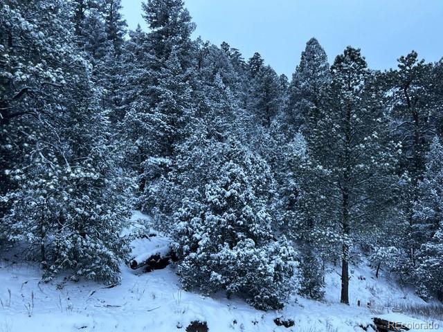 MLS Image #21 for 1420  coyote run,cotopaxi, Colorado