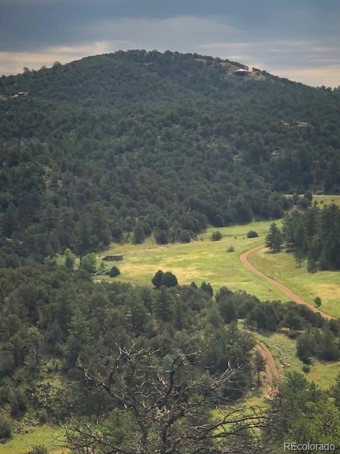 MLS Image #23 for 1420  coyote run,cotopaxi, Colorado