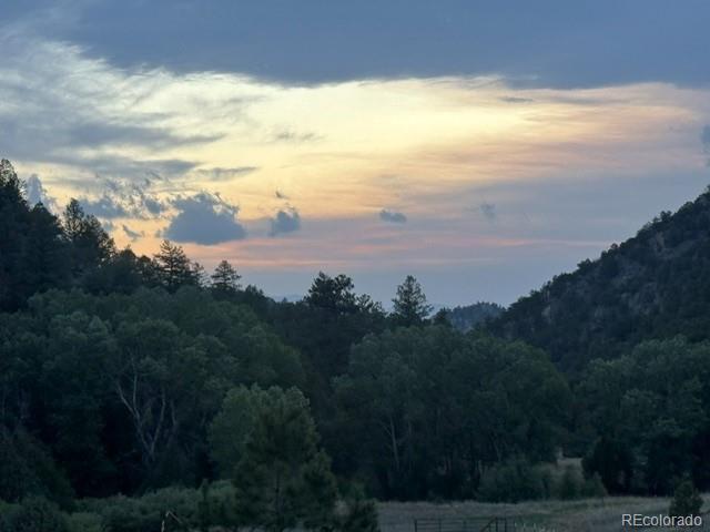 MLS Image #24 for 1420  coyote run,cotopaxi, Colorado