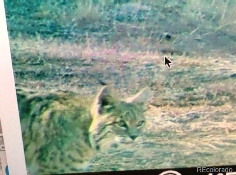MLS Image #25 for 1420  coyote run,cotopaxi, Colorado