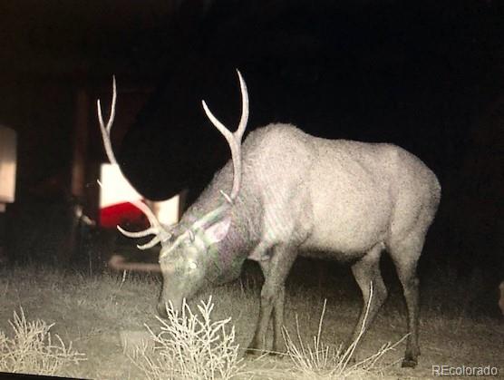 MLS Image #26 for 1420  coyote run,cotopaxi, Colorado