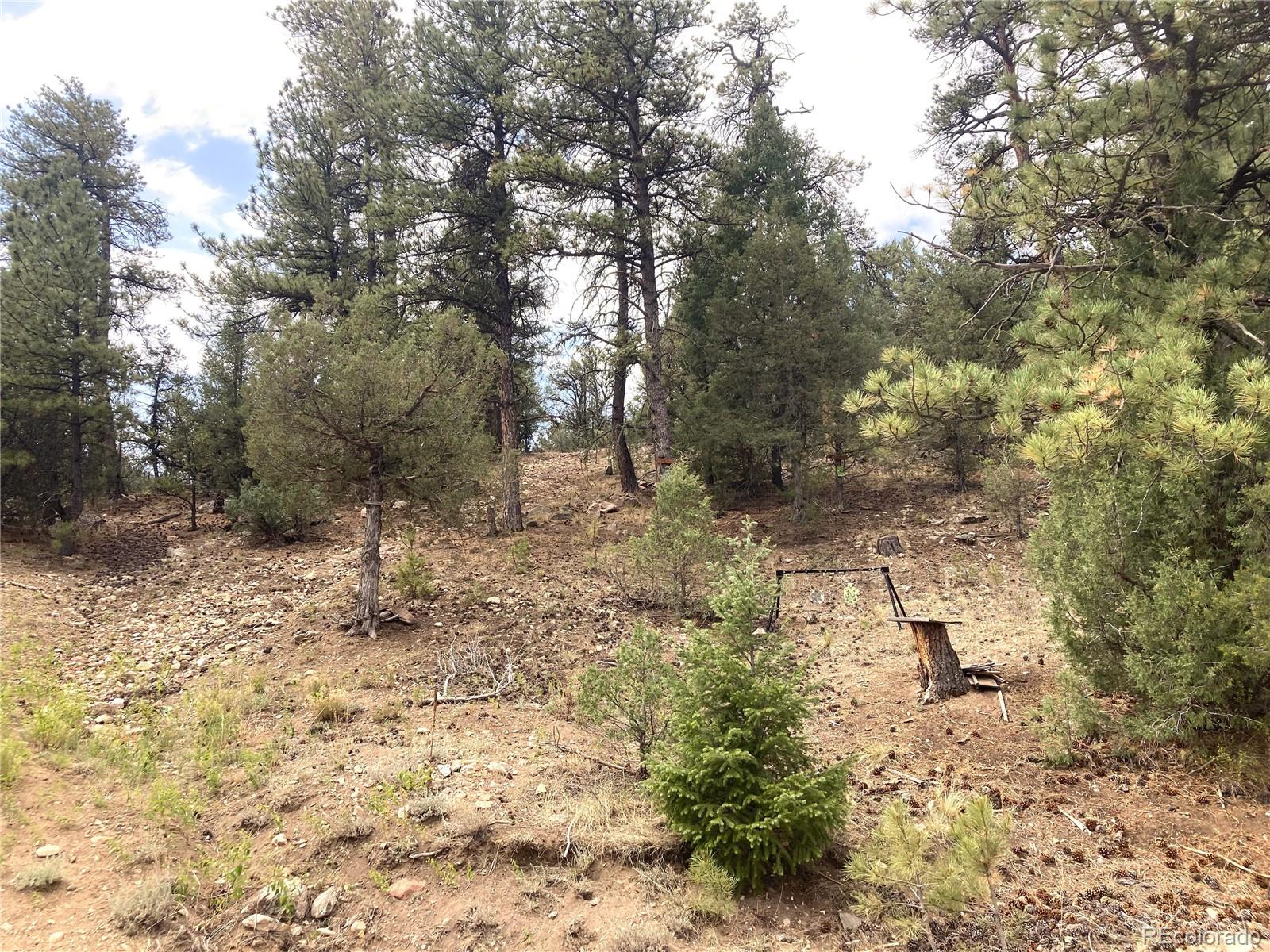 MLS Image #34 for 1420  coyote run,cotopaxi, Colorado