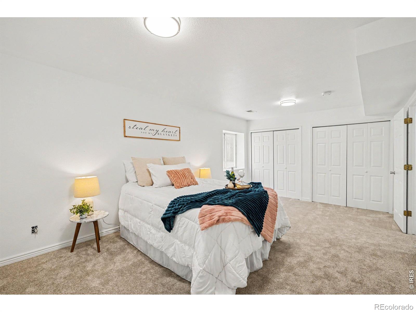 MLS Image #10 for 3227  red tail way,evans, Colorado
