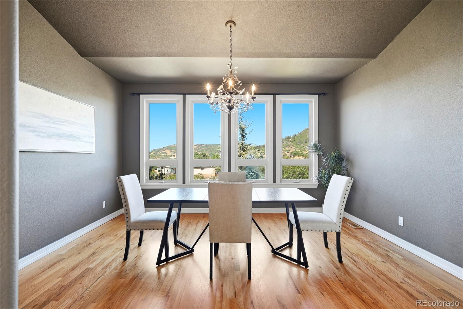 MLS Image #5 for 4367  tallyrand circle,castle rock, Colorado