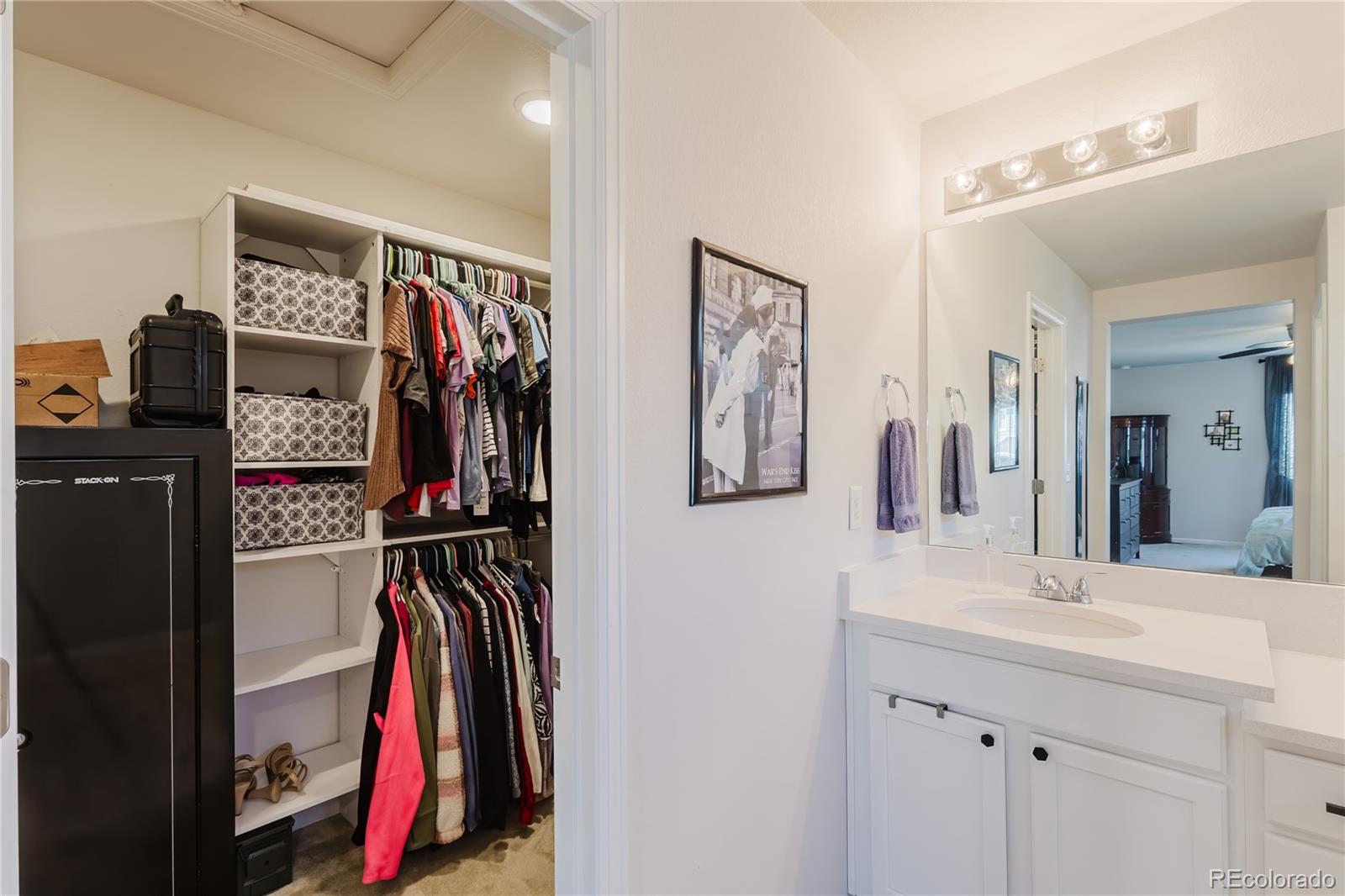 MLS Image #16 for 5447  gray wolf lane,castle rock, Colorado