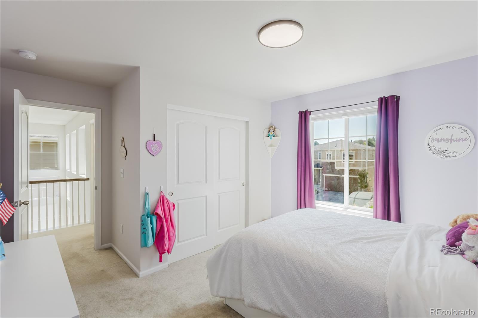MLS Image #18 for 5447  gray wolf lane,castle rock, Colorado