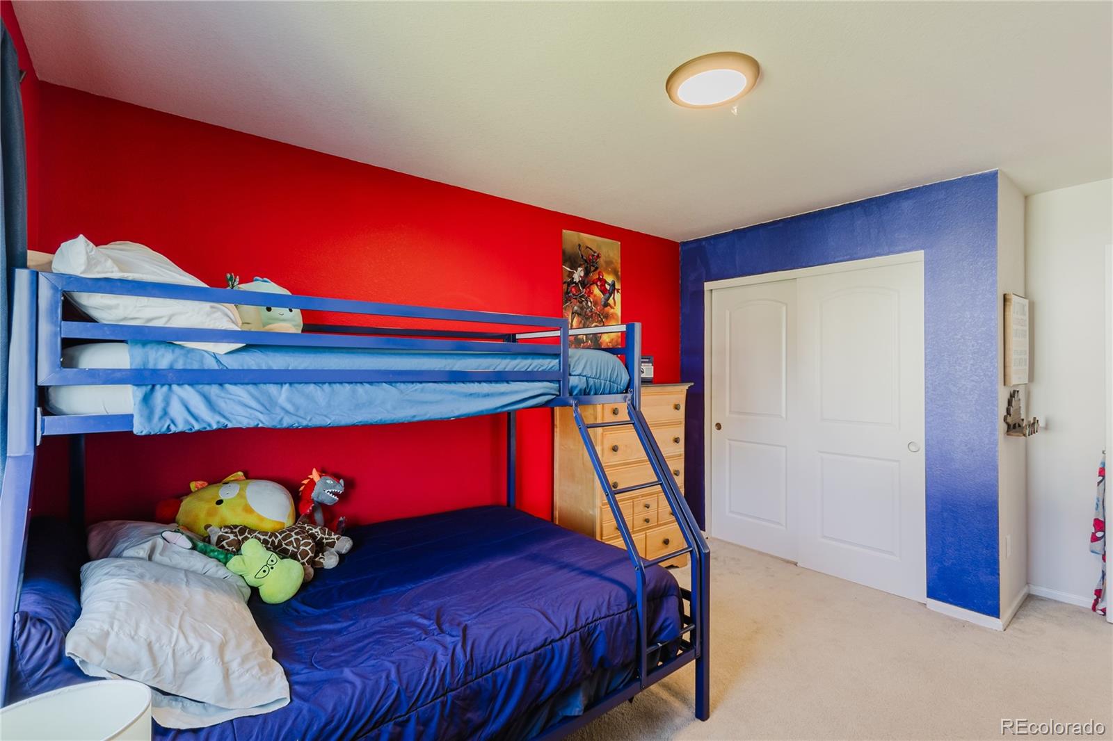 MLS Image #22 for 5447  gray wolf lane,castle rock, Colorado