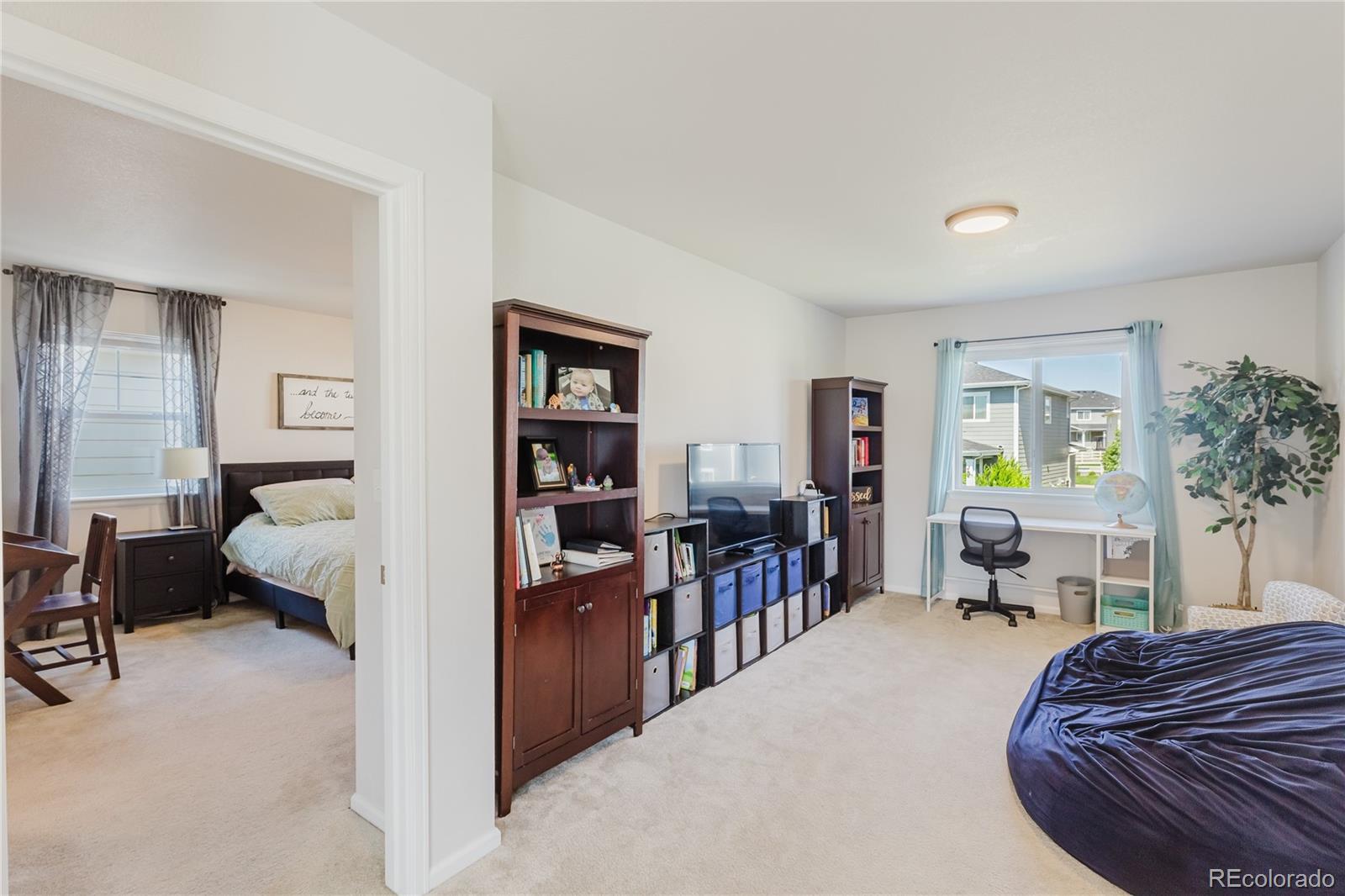 MLS Image #24 for 5447  gray wolf lane,castle rock, Colorado
