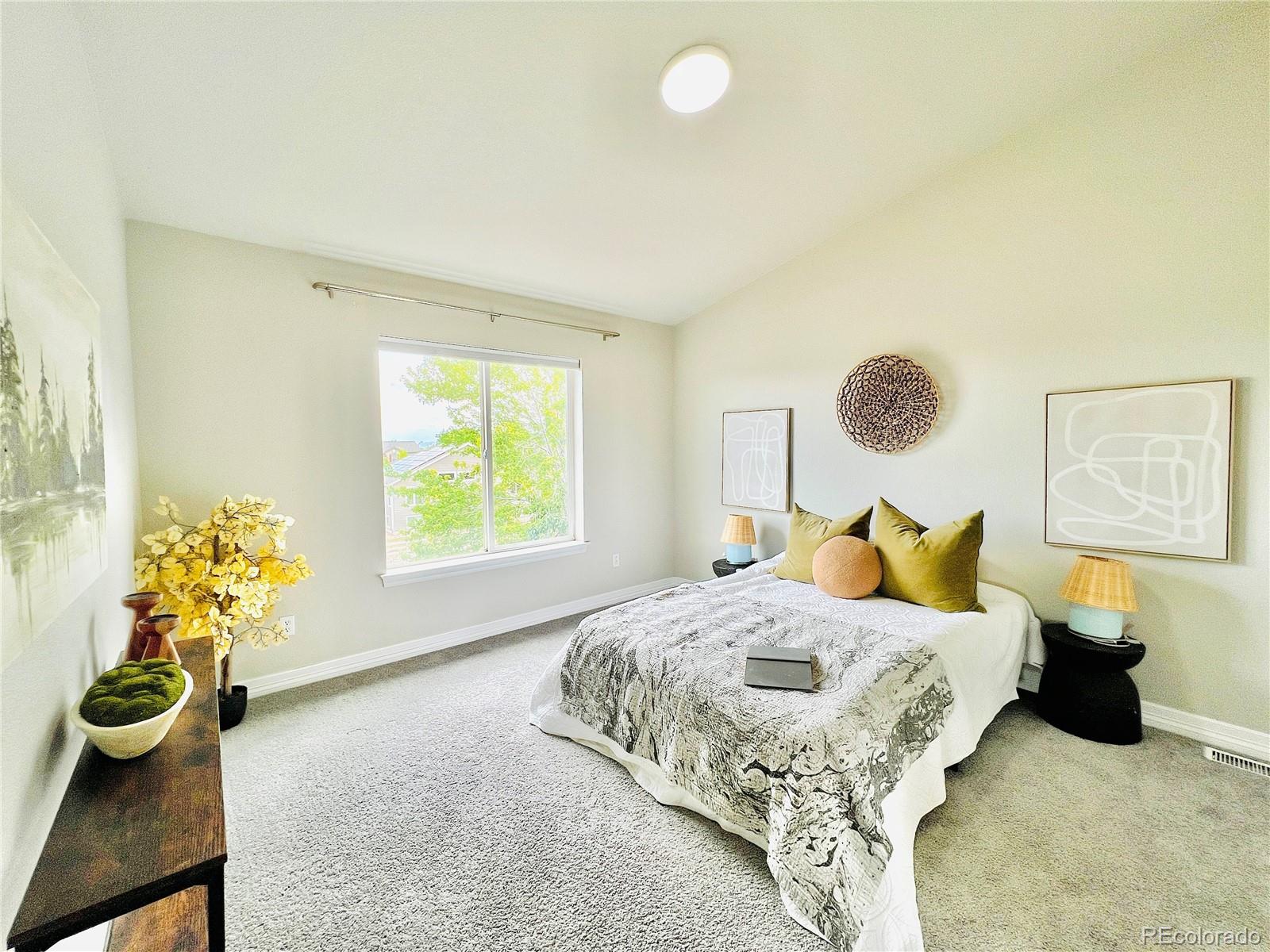 MLS Image #18 for 2244 e 101st avenue,denver, Colorado