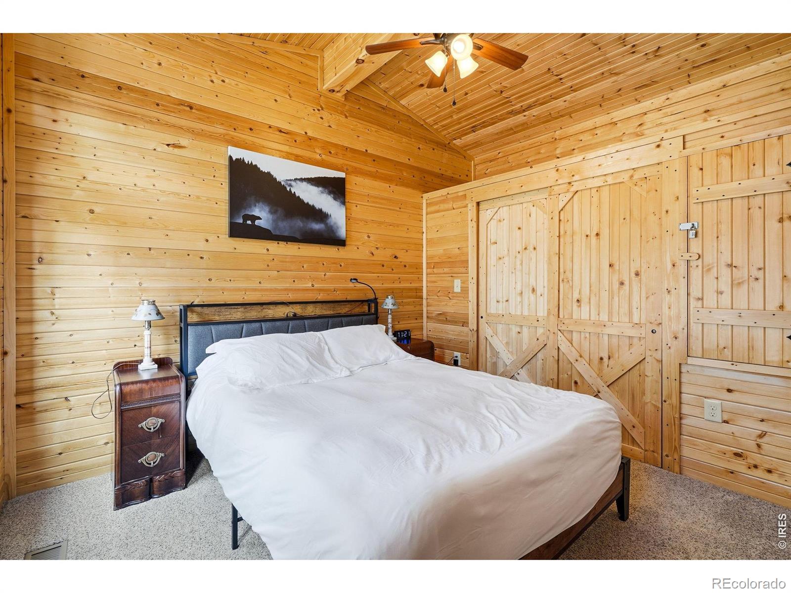MLS Image #12 for 280  bunny road,bailey, Colorado
