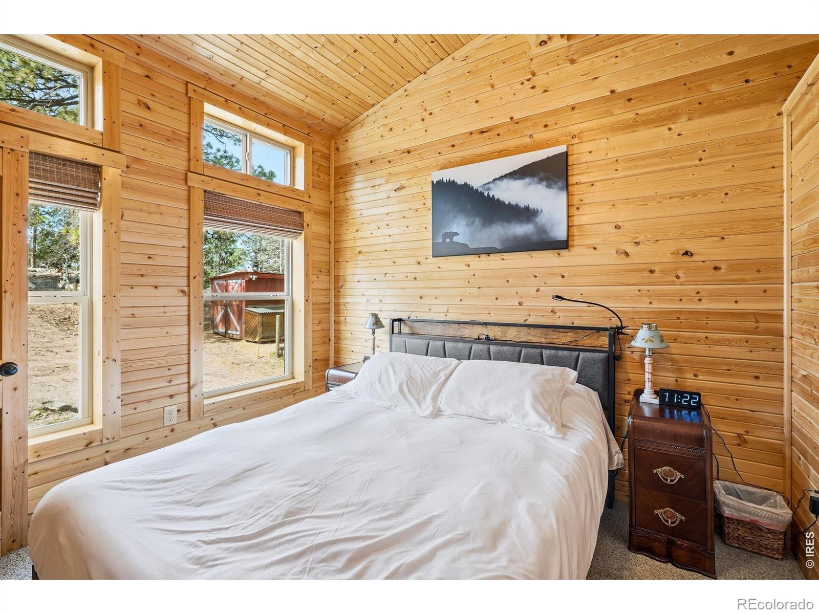 MLS Image #13 for 280  bunny road,bailey, Colorado