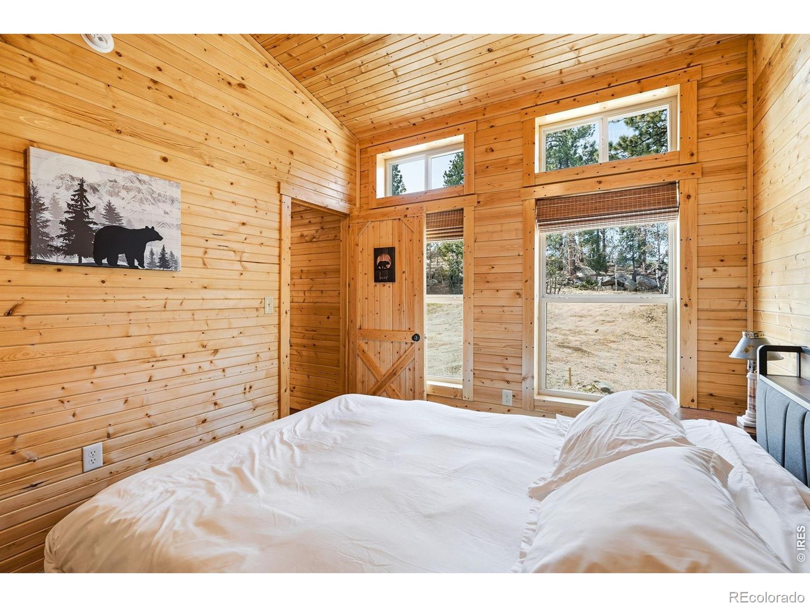 MLS Image #15 for 280  bunny road,bailey, Colorado