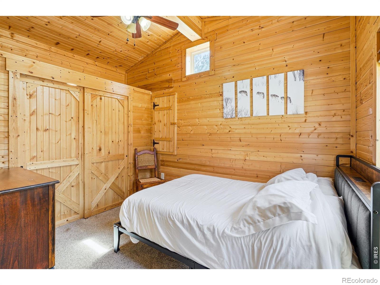 MLS Image #17 for 280  bunny road,bailey, Colorado
