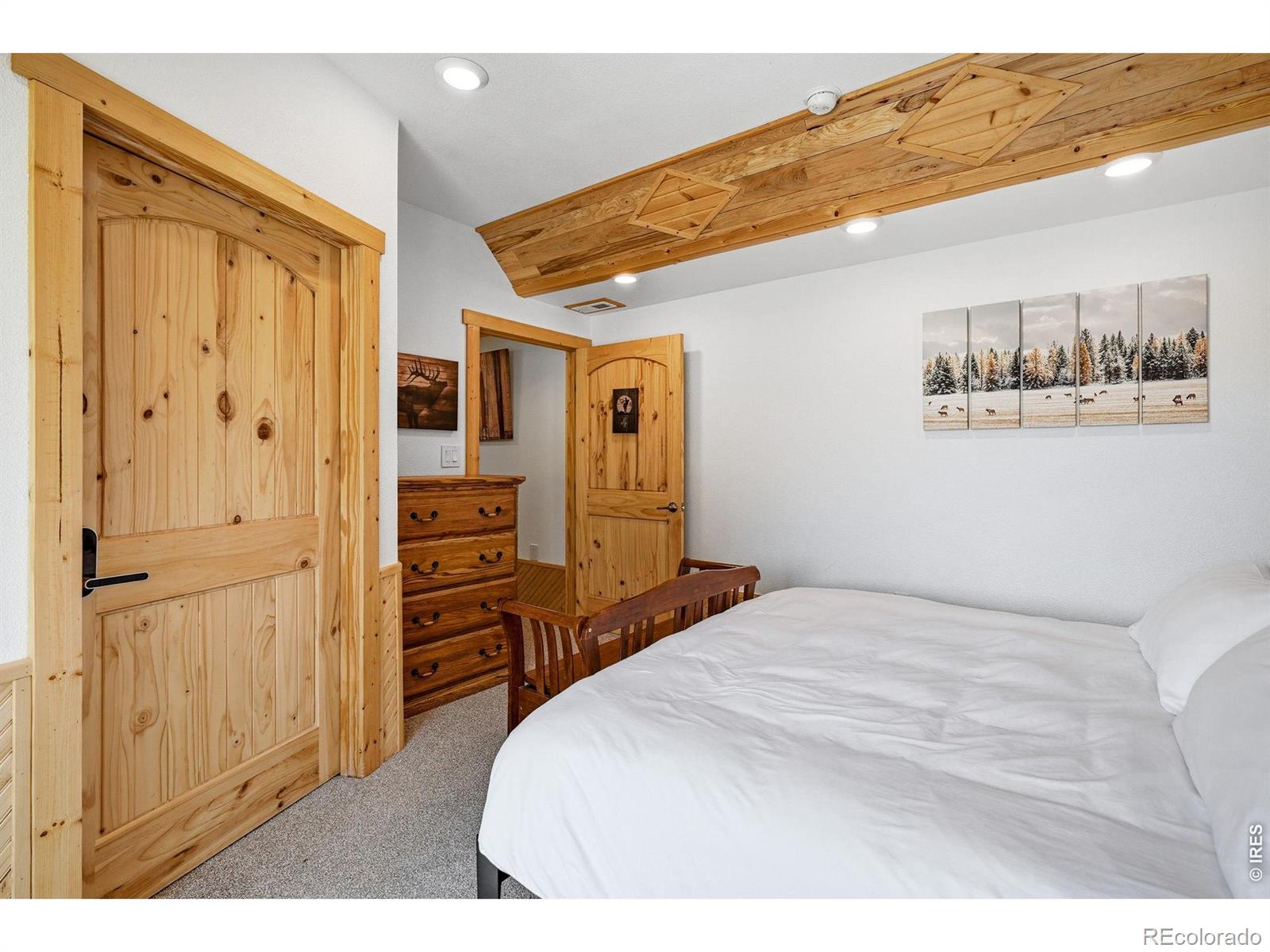 MLS Image #26 for 280  bunny road,bailey, Colorado