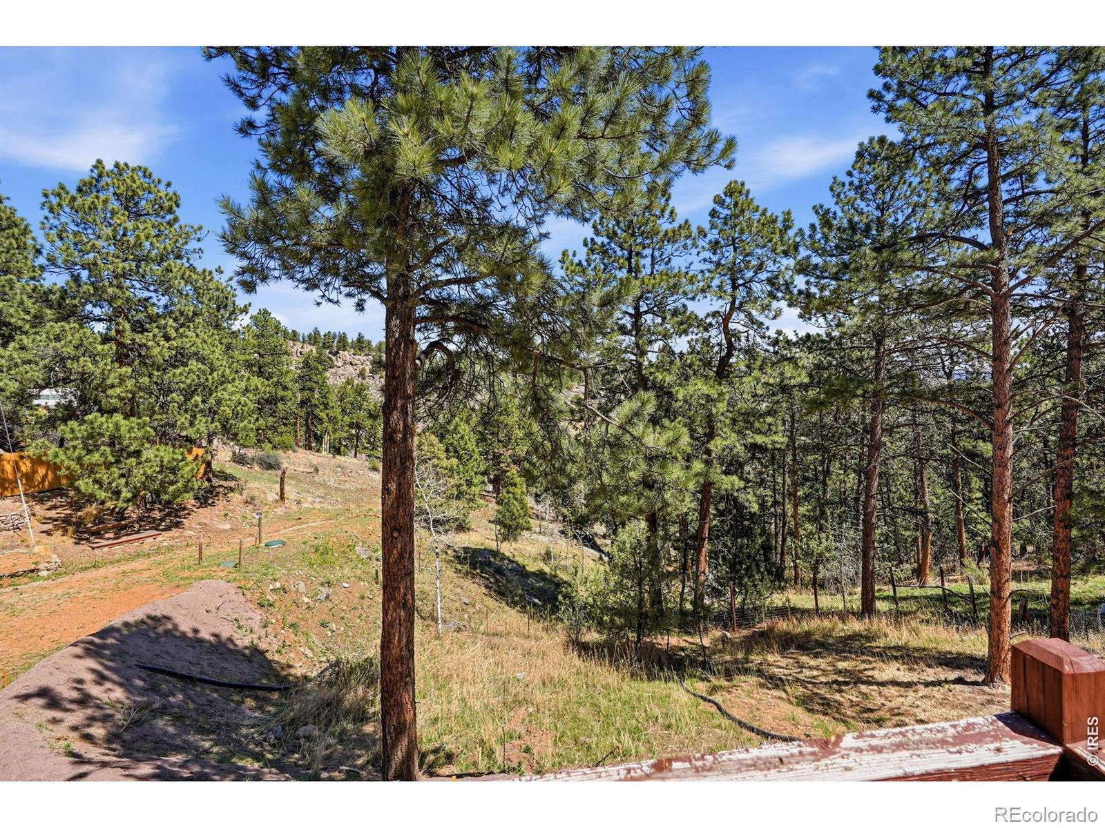 MLS Image #34 for 280  bunny road,bailey, Colorado