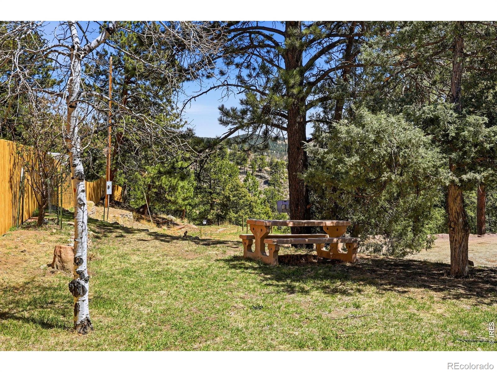 MLS Image #43 for 280  bunny road,bailey, Colorado