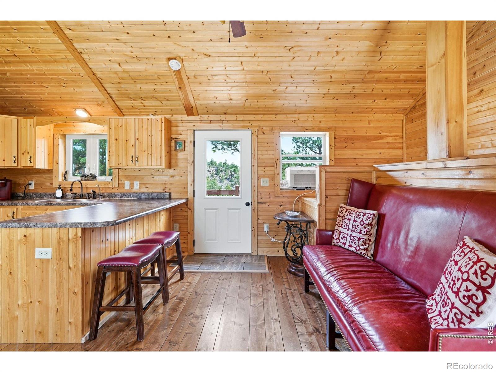 MLS Image #6 for 280  bunny road,bailey, Colorado