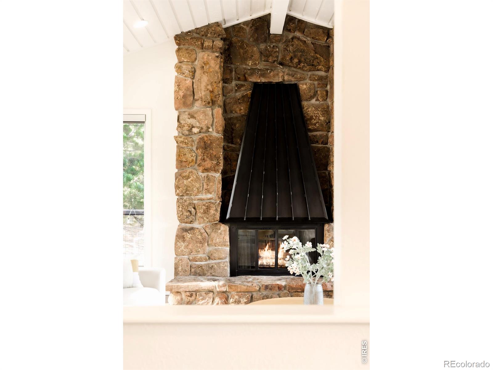 MLS Image #7 for 252  pine tree lane,boulder, Colorado