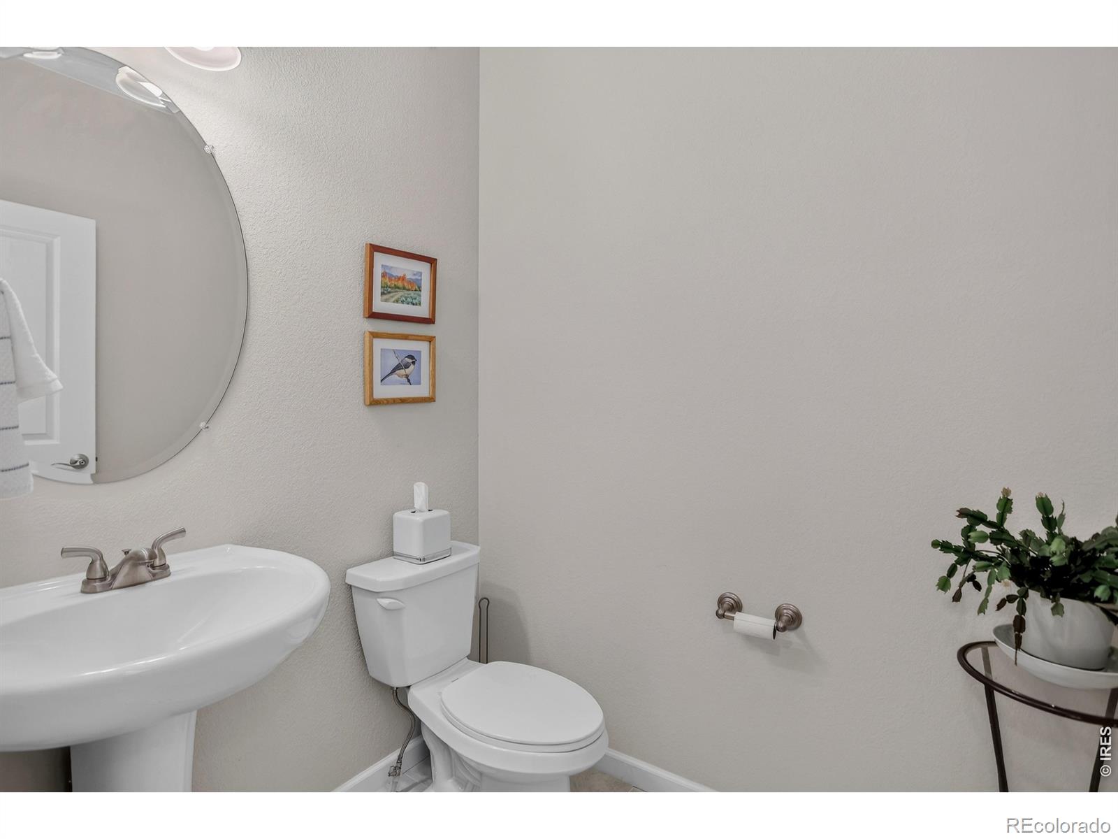 MLS Image #20 for 1108  saipan court,fort collins, Colorado