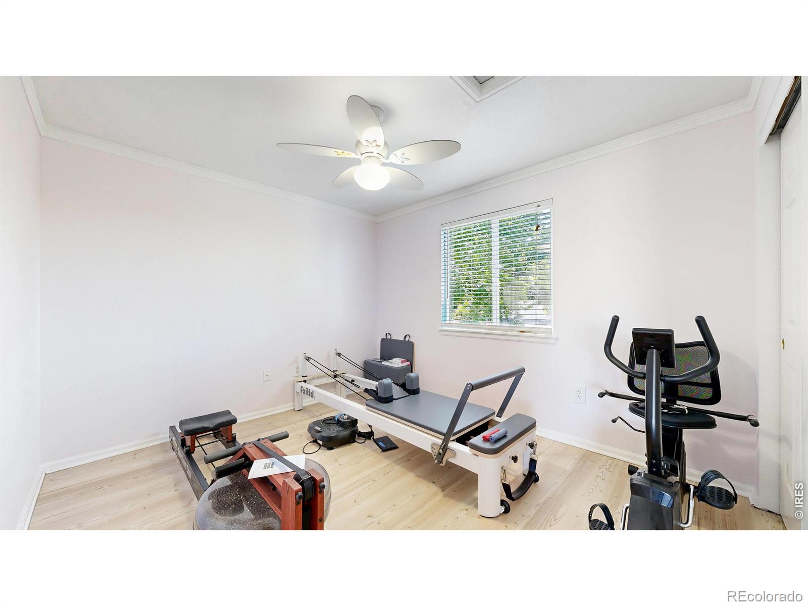 MLS Image #31 for 602  hillrose court,fort collins, Colorado