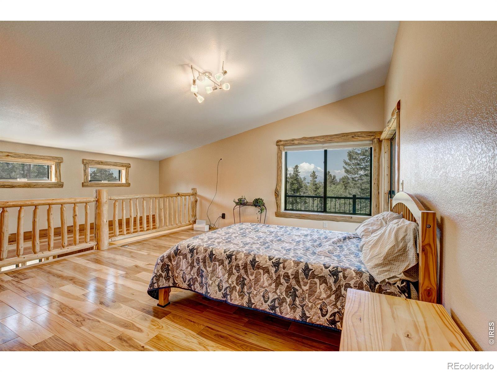 MLS Image #24 for 5431  storm mountain drive,drake, Colorado