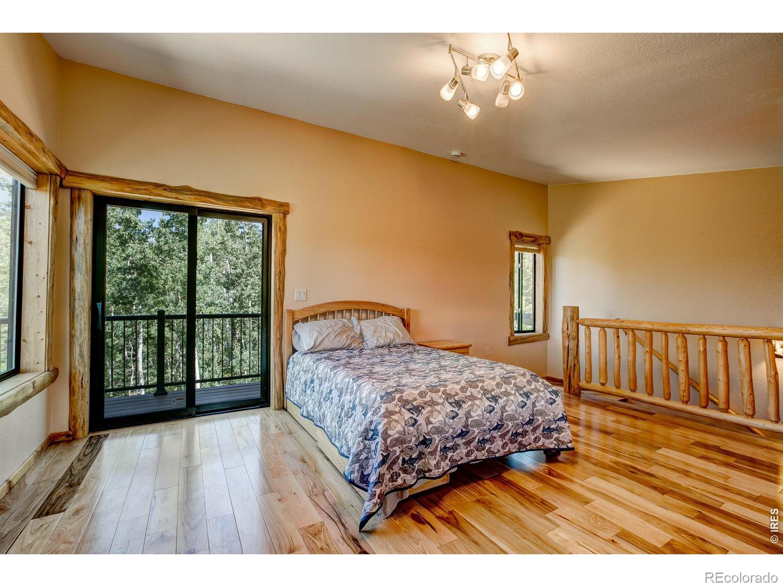 MLS Image #25 for 5431  storm mountain drive,drake, Colorado