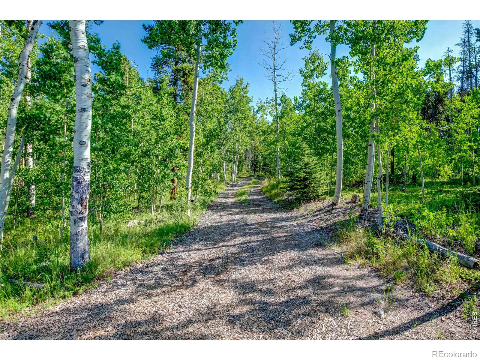 MLS Image #28 for 5431  storm mountain drive,drake, Colorado