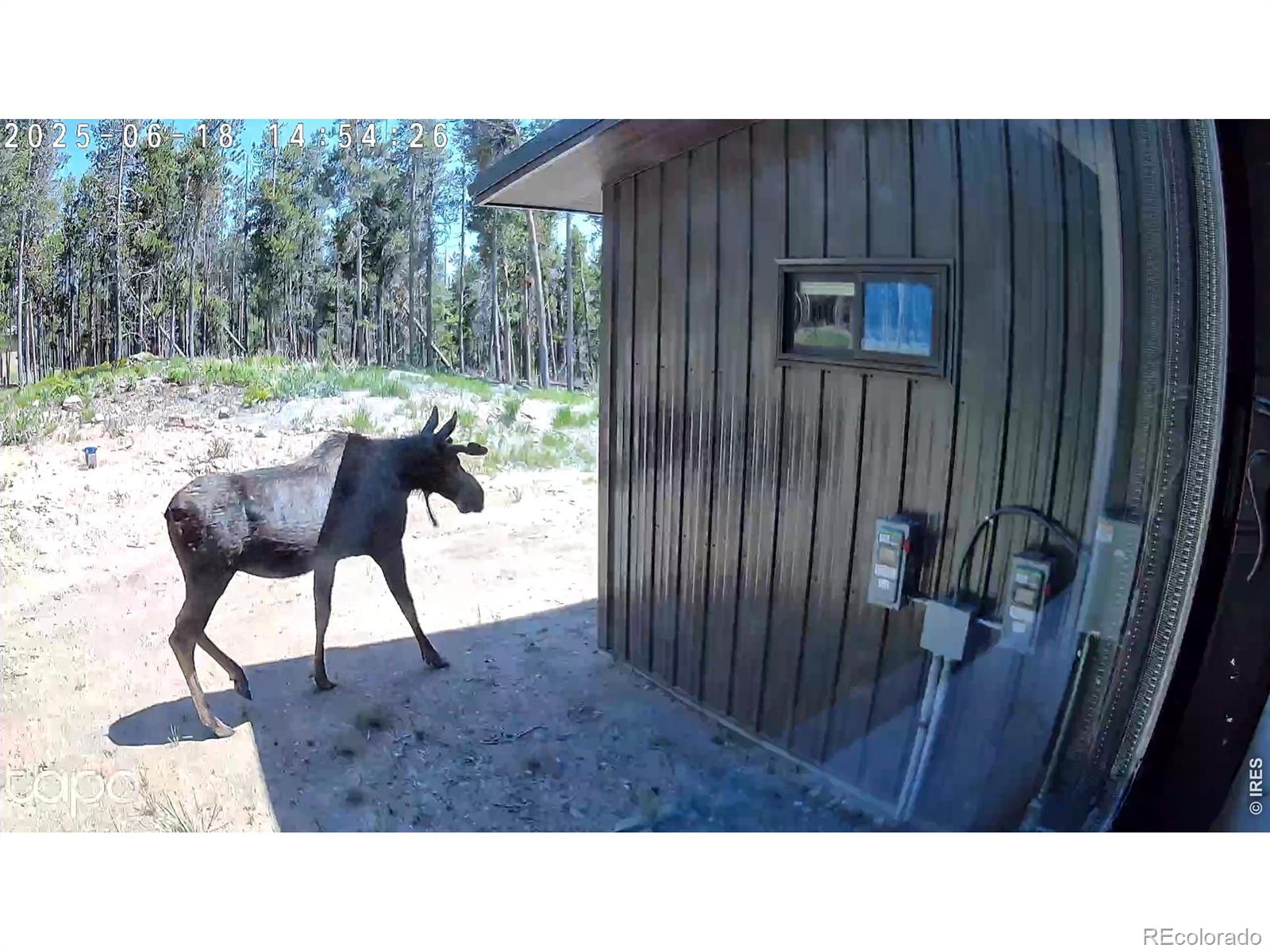 MLS Image #32 for 5431  storm mountain drive,drake, Colorado