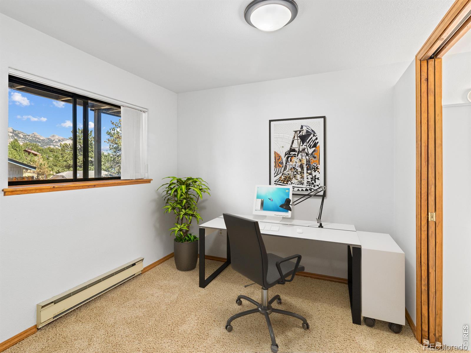 MLS Image #13 for 321  big horn drive,estes park, Colorado