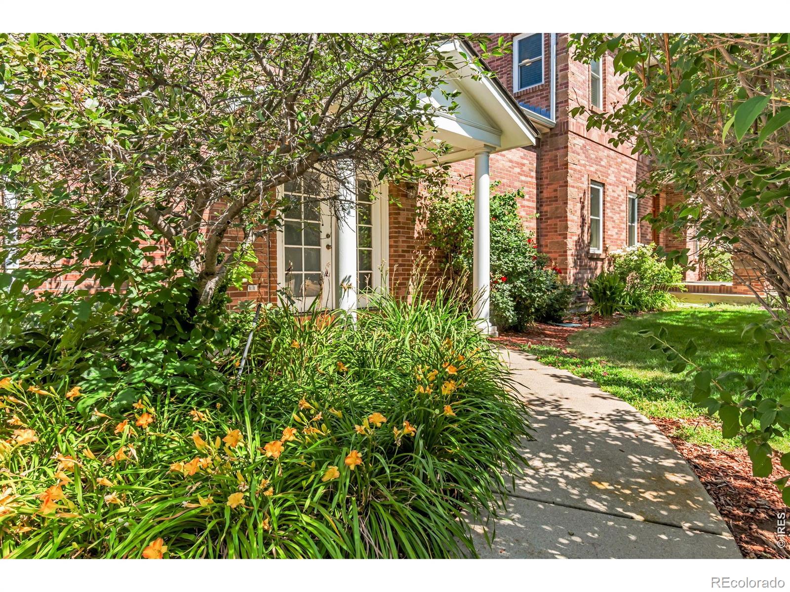 MLS Image #5 for 1687  radcliffe place,longmont, Colorado