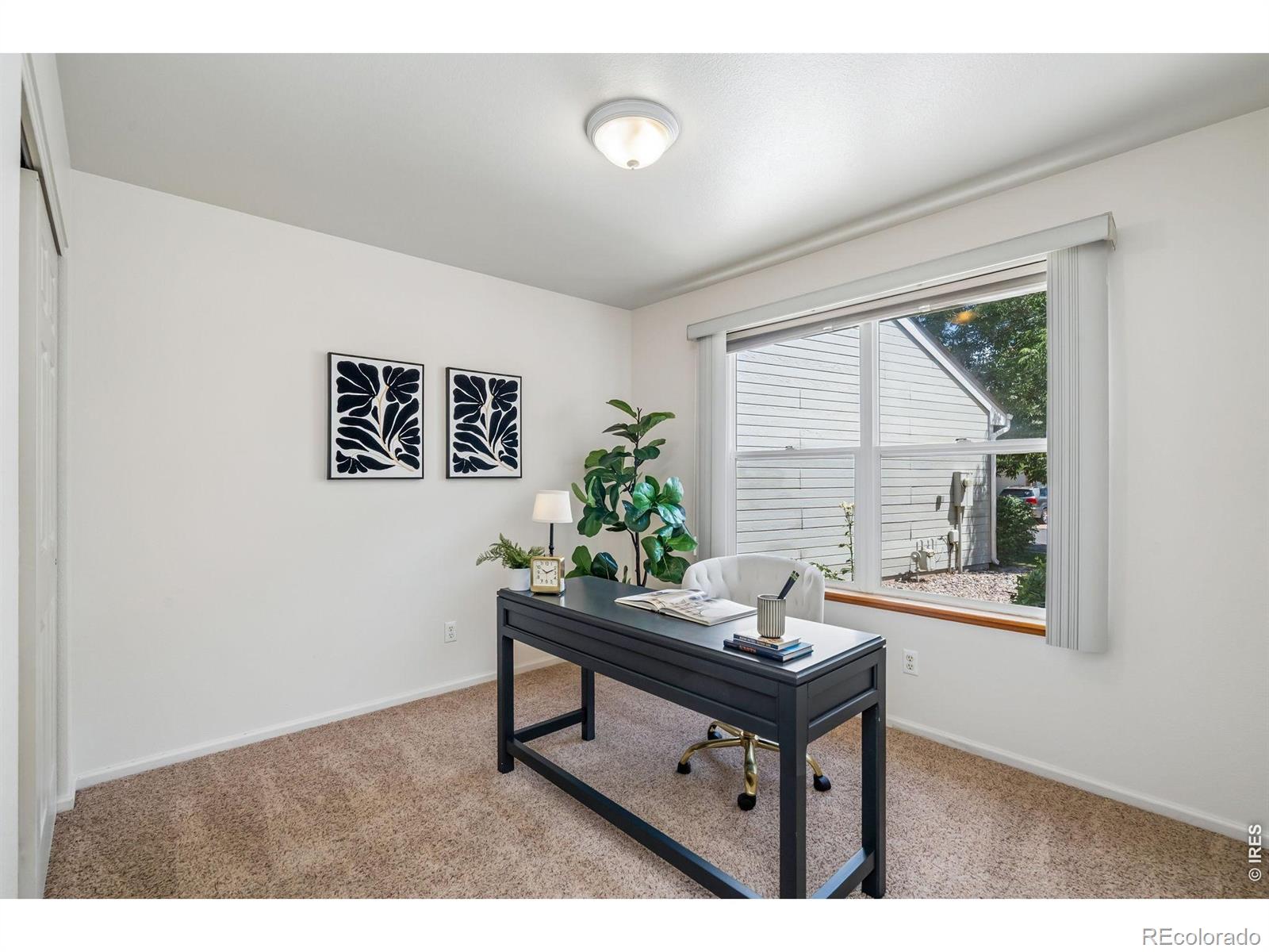 MLS Image #20 for 724  shadowmere court,fort collins, Colorado